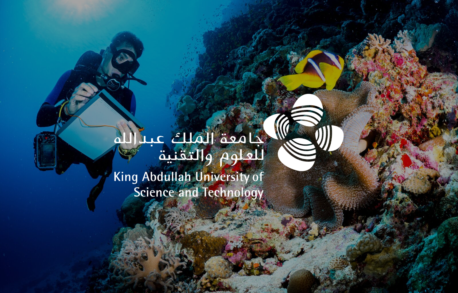 جامعة الملك عبدالله للعلوم والتقنية (KAUST)
